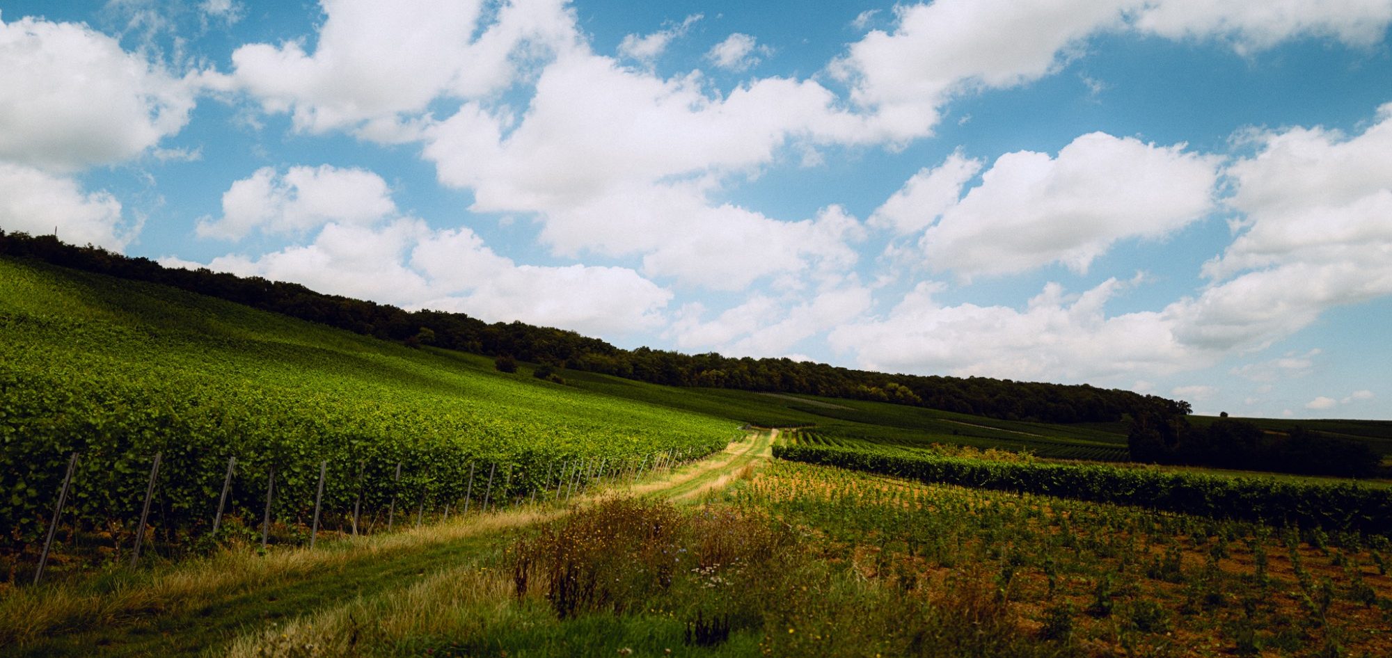 Landschaft mit grünen Feldern und einem Weg unter einem blauen Himmel mit Wolken.
